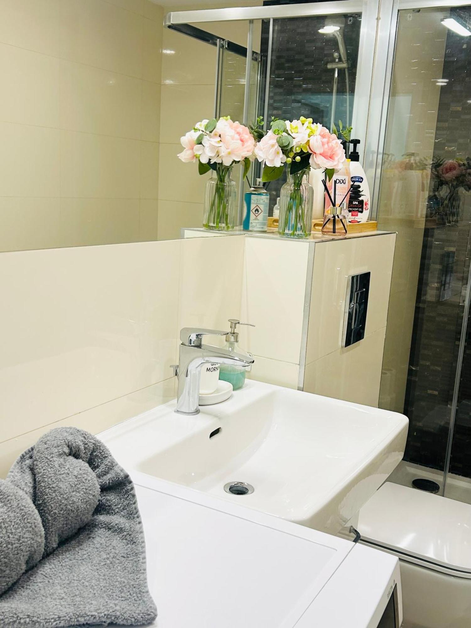 פראג New Design & Style Apartments 50M From Wenceslas Square מראה חיצוני תמונה